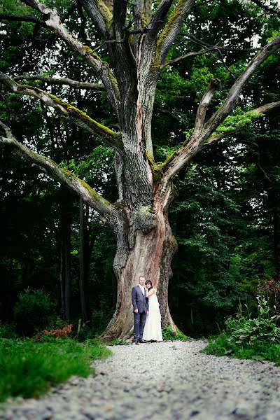 結婚式の写真家Mariya Alekhina (mafanja123)。2013 9月21日の写真