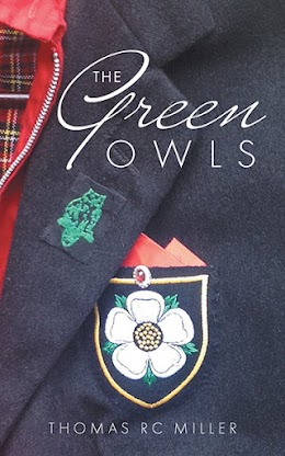 The Green Owls cover