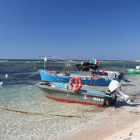 La baia della pesca di 