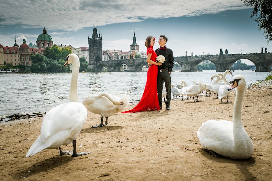 Huwelijksfotograaf Daniel Dančevský (dancevsky). Foto van 12 januari 2017