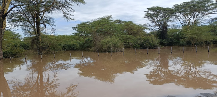 Flooded Mara river. KNA