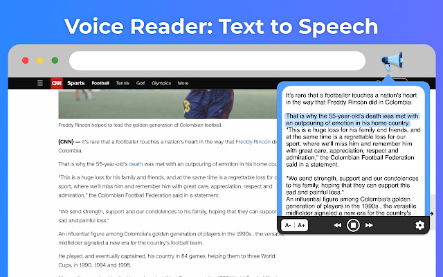 Text to Speech: Voice Reader TTS chrome extension