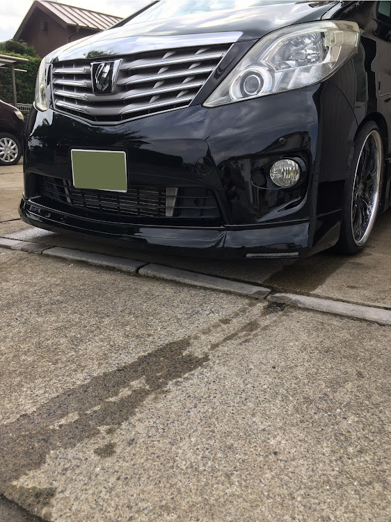 アルファードの洗車・DIY・アルファード・カスタム・休日に関するカスタム事例の投稿画像3枚目