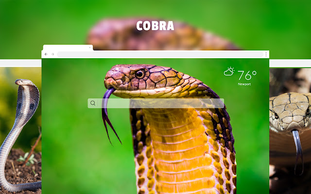 Cobra HD Snake Wallpapers New tab