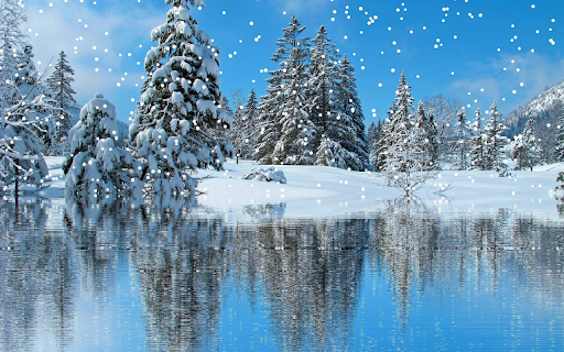 Snowy Pine Trees Reflected On Lake screenshot 1