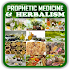 Prophetic Medicine & Herbalism - Healing Medicine3.0