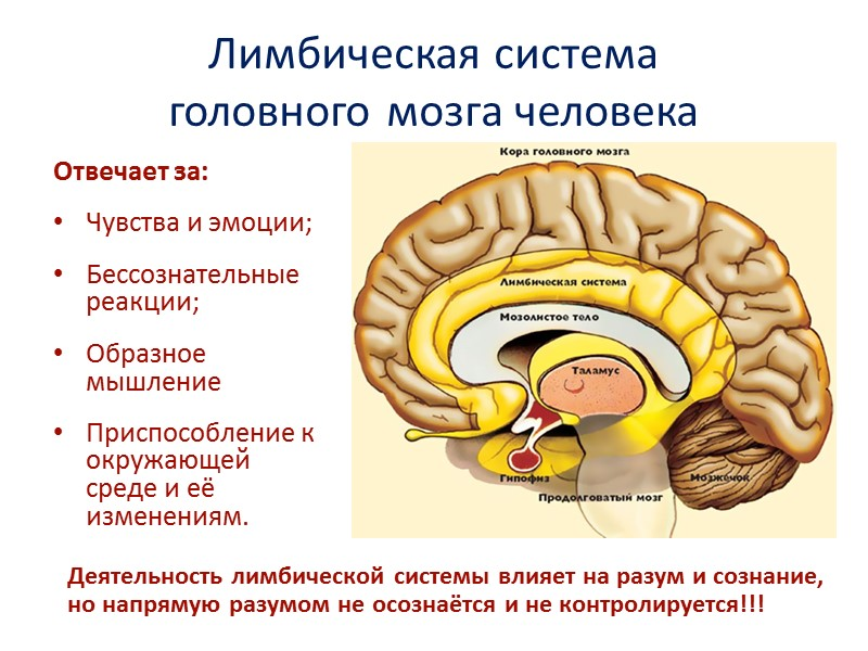 Выгорание — норма? Часть 1.