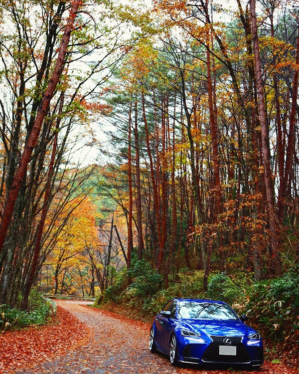ISのフォロワーさんに感謝・紅葉に関するカスタム事例の投稿画像1枚目