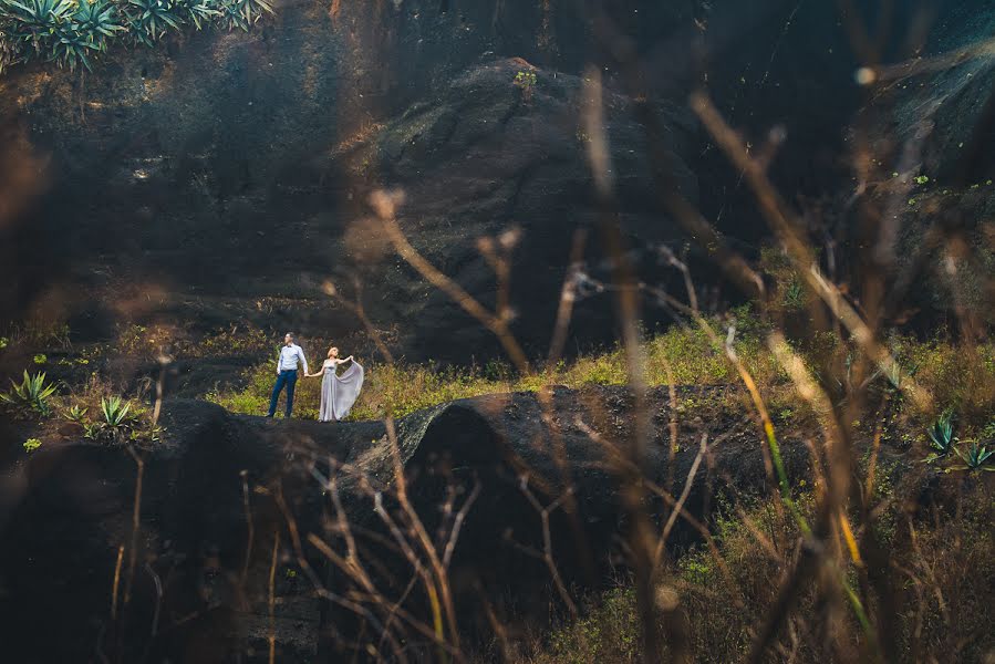 Vestuvių fotografas Darius Tomasevic (likemoon). Nuotrauka 2016 vasario 18