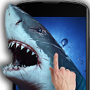 Herunterladen Shark Attack - Magic Touch Installieren Sie Neueste APK Downloader