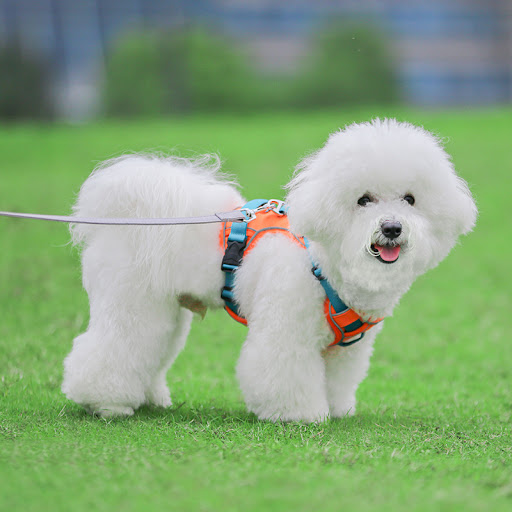 Title 3, Large Anti Slip Pet Chest Harness In Traction R...