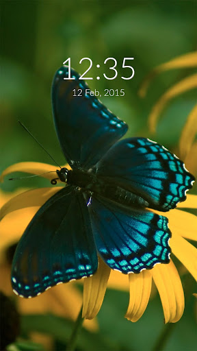 Blue Butterfly Wall Lock