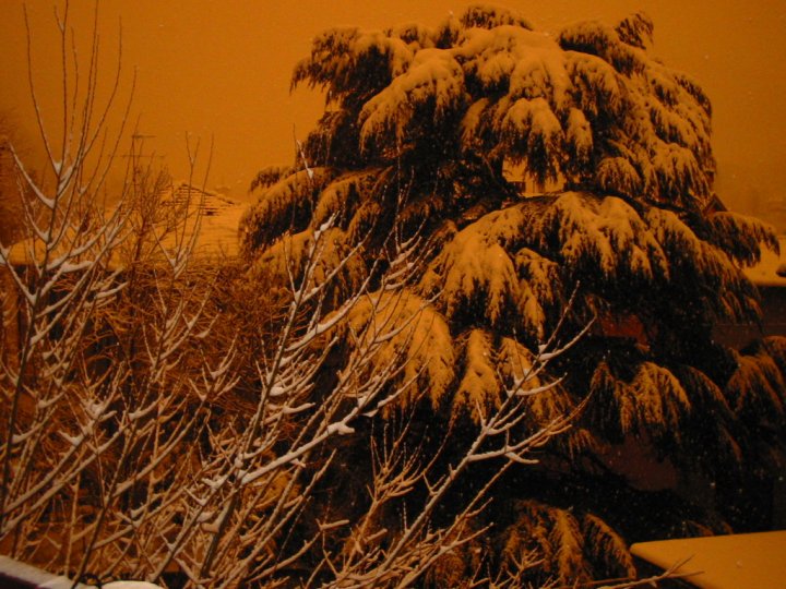 Una nevicata di colore anomalo di qwerty