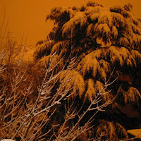 Una nevicata di colore anomalo di 