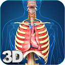 Herunterladen My Respiratory System Anatomy Installieren Sie Neueste APK Downloader