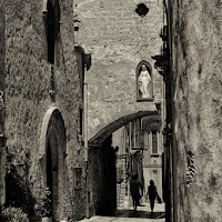 Erice di 