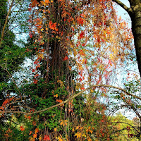 Cascata d'autunno di 