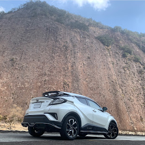 C-HR ZYX10