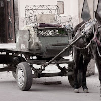 Taxi alternativo di 