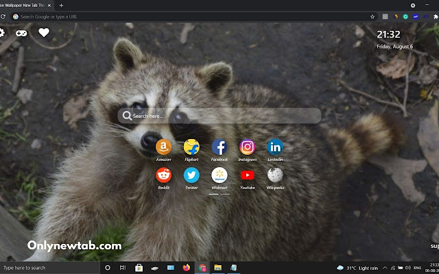 Raccoon Wallpaper New Tab Theme