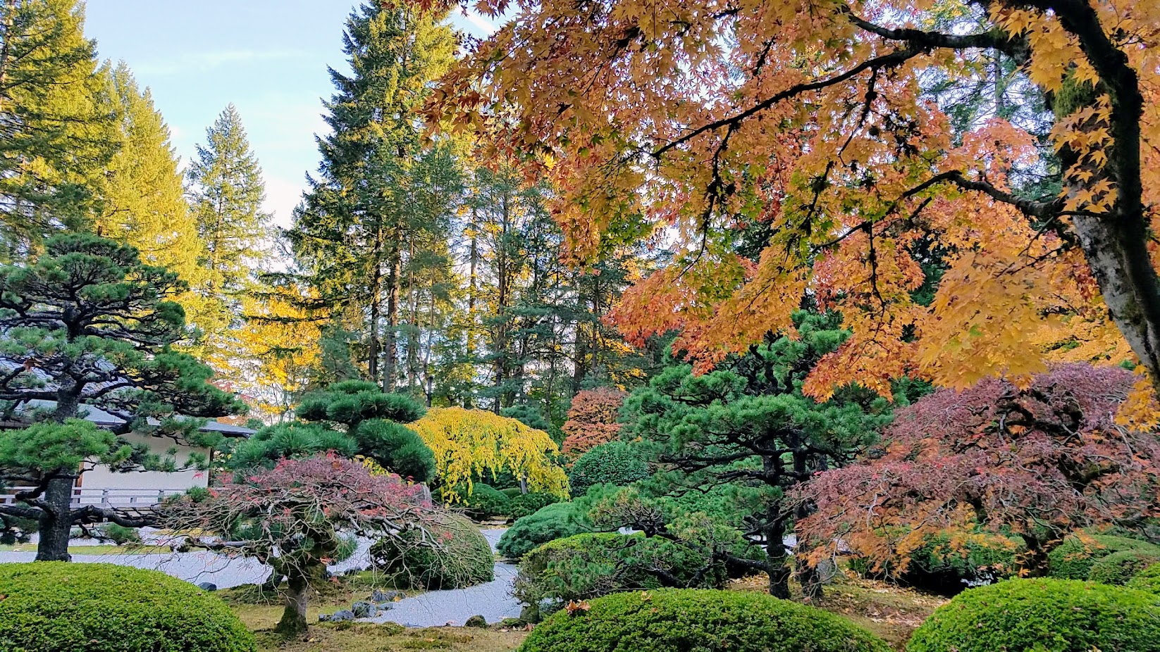 Fall at the Portland Japanese Garden, visiting for Autumn Portland Japanese Garden fall foliage photos on October 2017