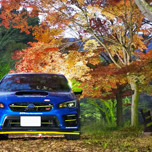 WRX STI VAB