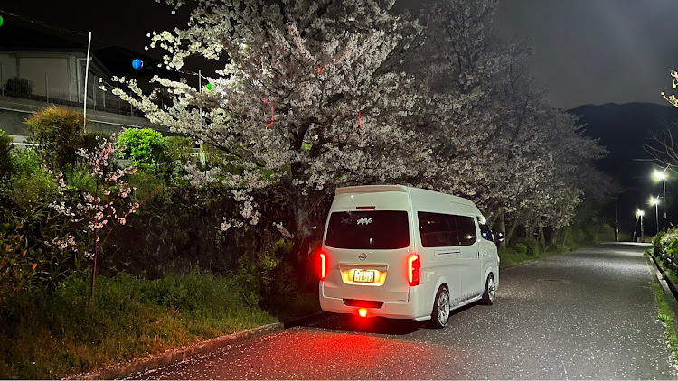 NV350キャラバンの桜とコラボ・夜桜・桜に関するカスタム事例の投稿画像2枚目