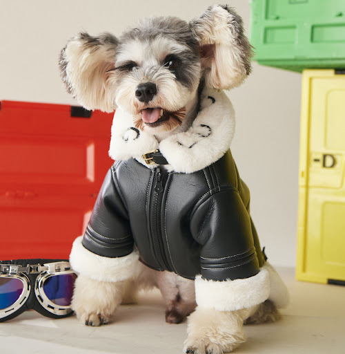 Title 6, Dog Clothes Autumn And Winter Thickening Fashio...