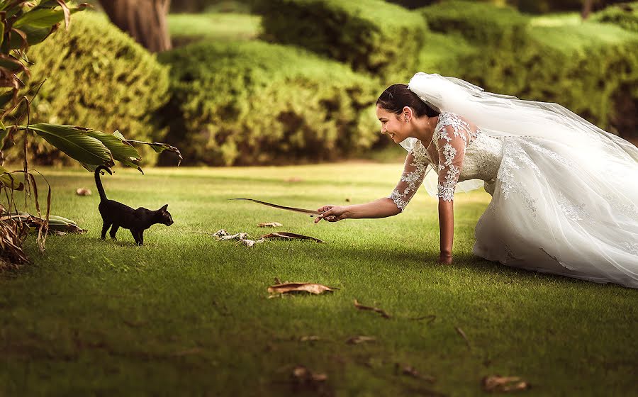 Photographe de mariage Igor Moskalenko (miglg). Photo du 25 octobre 2014