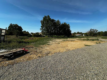 terrain à Saint-Nicolas-de-la-Grave (82)