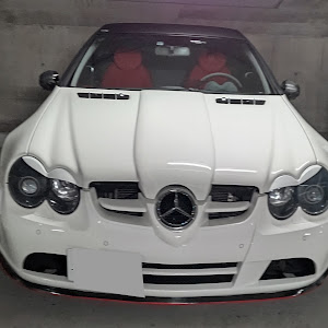 SL SL500