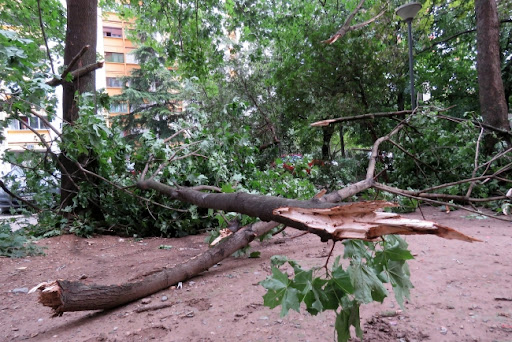 Svetski fond za prirodu: Ekstremne klimatske nepogode upozorenje prirode 