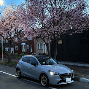 MAZDA2 DJLFS