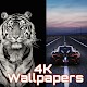 Download 4K Wallpapers and Full HD Backgrounds For PC Windows and Mac 1.0