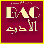 بكالوريا محلولة في الأدب العربي شعبة الآداب ‎  Icon