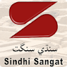 Learn Sindhi icon