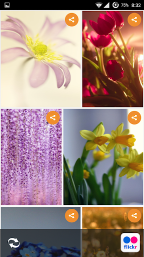 Flowers HD live Wallpapers