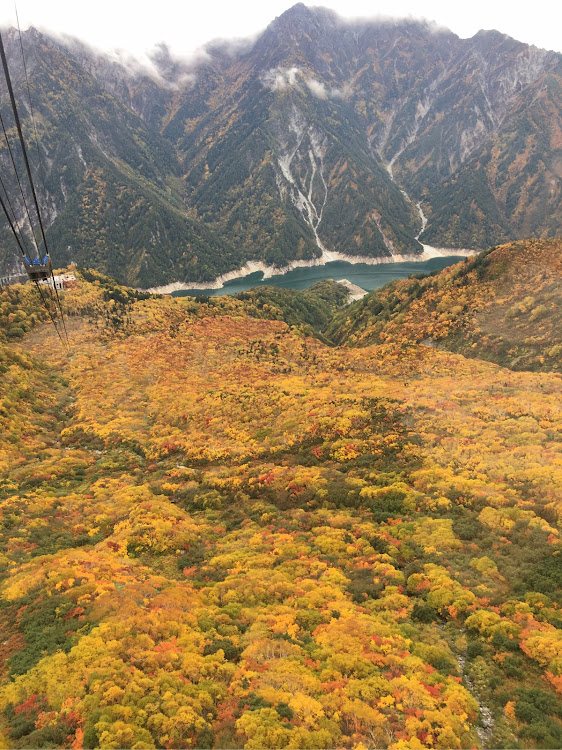 ゴルフGTIのドライブに関するカスタム事例の投稿画像3枚目