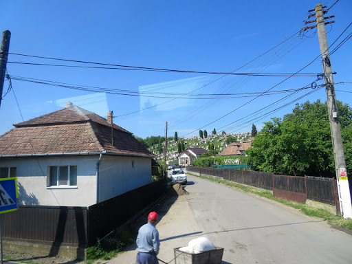 Transylvanian Winery România 2016