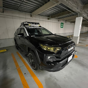 RAV4 MXAA54