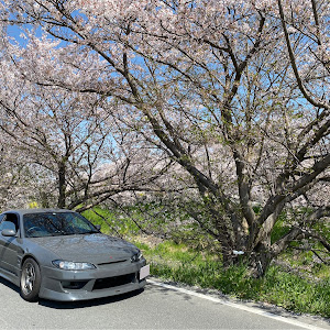 シルビア S15