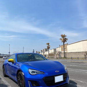 BRZ ZC6