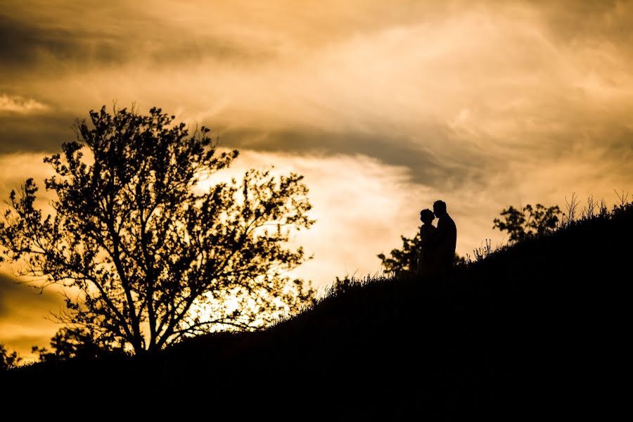 Hochzeitsfotograf Dmitriy Maley (maleyphoto). Foto vom 12. Juni 2017