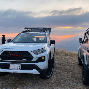 RAV4 MXAA54