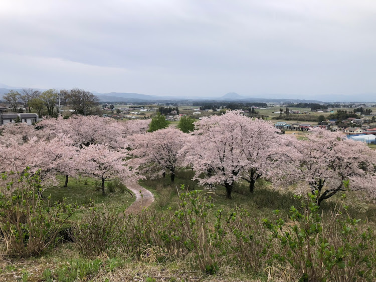 の投稿画像3枚目