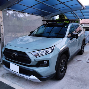 RAV4 MXAA54