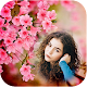 Download Pink Spring Flowers photo frame For PC Windows and Mac 1.1