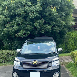 ヴォクシー ZRR70W