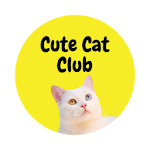 Cover Image of Download Cute Cat Club - Cutest Cat Video 1.0 APK