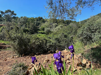 terrain à Ollioules (83)